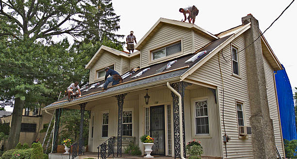 Best Storm Damage Roof Repair  in Bradley, WV